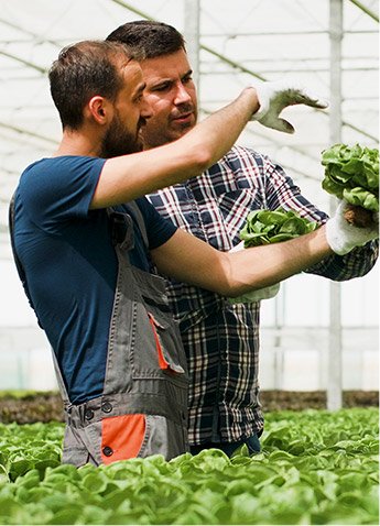 Field Trials